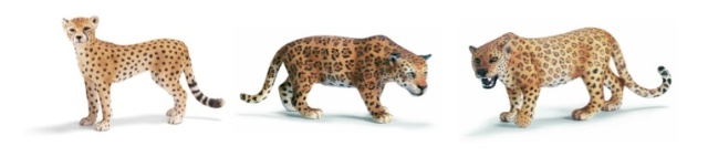 {Test your animal print IQ} Learn the difference between animal prints on City Southern Blog! city southern.wordpress.com